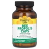 Bee Propolis Caps, 100 Vegetarian Capsules image 1