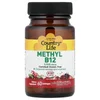 Methyl B12, Cherry, 5,000 mcg, 60 Lozenges image 1