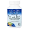 Full Spectrum™, Olive Leaf Extract, 825 mg, 60 Tablets
