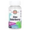 Dinosaurs®, Zinc Elderberry, Mixed Berry, 90 Micro Tablets