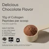 Marine Collagen, Dark Chocolate, 15.03 oz (426 g) image 3