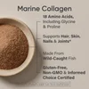 Marine Collagen, Dark Chocolate, 15.03 oz (426 g) image 4