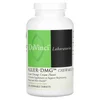 Aller-DMG Chewable, Great Orange Cream, 120 Chewable Tablets image 1