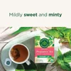 Organic Pregnancy® Tea, Raspberry Leaf, Caffeine Free, 16 Wrapped Tea Bags, 0.99 oz (28 g) image 5
