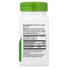 Devil's Claw Root, 100 Vegan Capsules (480 mg per Capsule) image 2