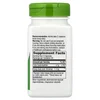 Dong Quai Root, 100 Vegan Capsules (565 mg per Capsule) image 2