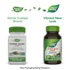 Dong Quai Root, 100 Vegan Capsules (565 mg per Capsule) image 3