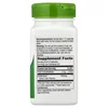 Goldenseal Herb, 100 Vegan Capsules (350 mg per Capsule) image 2