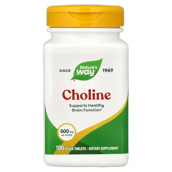 Choline, 500 mg, 100 Vegan Tablets