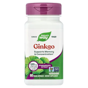 Ginkgo, Standardized Extract, 60 Vegan Capsules