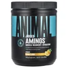 Juiced Aminos® Powder, Orange , 13.5 oz (384 g) image 1