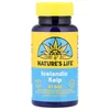 Icelandic Kelp, 41 mg, 250 Tablets image 1