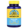 Icelandic Kelp, 41 mg, 500 Tablets image 1