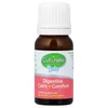 Baby Probiotics, Digestive Calm + Comfort Probiotic Drops, 0-12 Months, 0.29 fl oz (8.5 ml) image 3