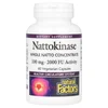 Nattokinase, 100 mg, 60 Vegetarian Capsules