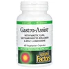 Gastro-Assist™ with Mastic Gum, Saccharomyces Boulardii & Zinc L-Carnosine, 60 Vegetarian Capsules