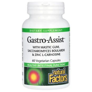 Gastro-Assist™ with Mastic Gum, Saccharomyces Boulardii & Zinc L-Carnosine, 60 Vegetarian Capsules