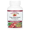 GrapeSeedRich, Grape Seed Extract, 100 mg, 60 Vegetarian Capsules
