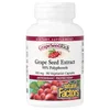 GrapeSeedRich, Grape Seed Extract, 100 mg, 90 Vegetarian Capsules