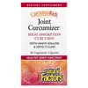 CurcuminRich®, Joint Curcumizer®, 60 Vegetarian Capsules