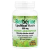 Berberine LipoMicel Matrix, 60 Liquid Softgels