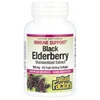 Black Elderberry, 100 mg, 60 Fast-Acting Softgels image 1