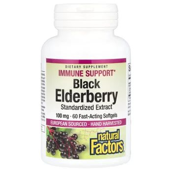 Black Elderberry, 100 mg, 60 Fast-Acting Softgels