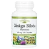 Ginkgo Biloba, Phytosome, 60 mg, 60 Capsules image 1