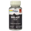 Men's Shilajit, 60 VegCaps (250 mg per Capsule)