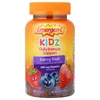 Kidz, Daily Immune Support Gummies, Berry Bash, 44 Gummies image 1