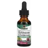 Echinacea & Goldenseal, Standardized Fluid Extract, 1 fl oz (30 ml)