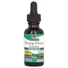 Hyssop Flower Extract, Alcohol-Free, 505 mg, 1 fl oz (30 ml) image 1