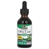 Olive Leaf Extract, Standardized, Alcohol-Free, 600 mg, 2 fl oz (60 ml)