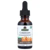 Cordyceps, Mushroom Extract, Alcohol Free, 1 fl oz (30 ml) image 3