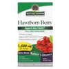 Hawthorn Berry, 90 Vegetarian Capsules (500 mg per Capsule)