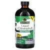 Liquid Chlorophyll, 100 mg, 16 fl oz (480 ml) image 1