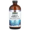 Liquid Omega-3, Deep Sea Fish Oil EPA/DHA, Orange, 16 fl oz (480 ml) image 1