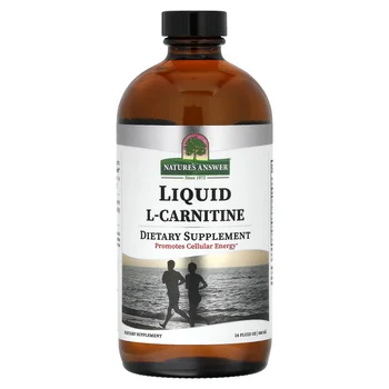 Liquid L-Carnitine, 16 fl oz (480 ml)