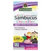 Kid's Sambucus Chewables, Black Elderberry + Vitamin-C and Zinc, 45 Chewable Tablets image 1