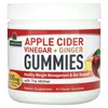 Apple Cider Vinegar + Ginger Gummies with The Mother, 500 mg, 45 Pectin Gummies image 1