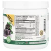 Black Elderberry Sambucus Daily Gummies, 2X Strength, 3,200 mg, 45 Pectin Gummies image 2