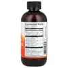 Elderberry Extract Syrup, 8 fl oz (237 ml) image 2