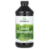 Liquid Chlorophyll, 100 mg, 16 fl oz (473 ml) image 1