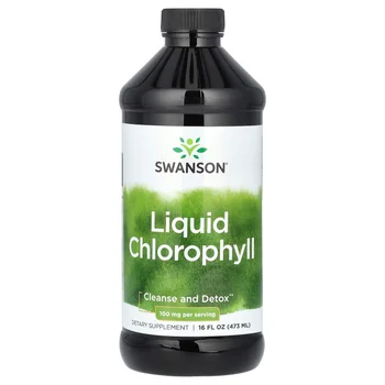 Liquid Chlorophyll, 100 mg, 16 fl oz (473 ml)