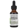 Ginkgo Biloba Liquid Extract, Alcohol & Sugar Free, 1 fl oz (29.6 ml) image 2
