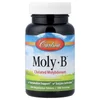 Moly-B™,  Chelated Molybdenum, 300 Vegetarian Tablets (500 mcg per Tablet) image 1