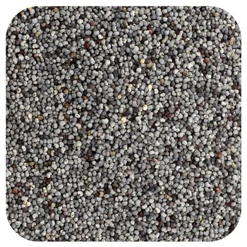 Organic Poppy Seed, Whole, 16 oz (453 g)