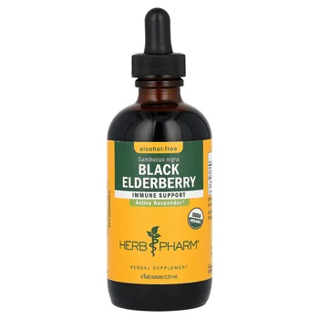 Black Elderberry, Alcohol-Free, 4 fl oz (120 ml)