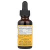 Kids Black Elderberry, Alcohol Free, 1 fl oz (30 ml) image 2