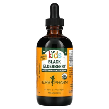 Kids Black Elderberry, Alcohol Free, 4 fl oz (120 ml)